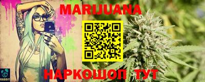 индика Бийск