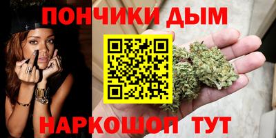 индика Бийск