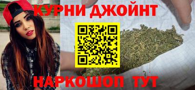 индика Бийск