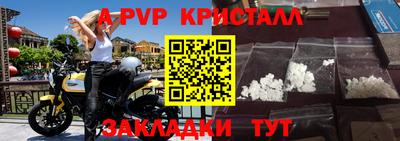индика Бийск